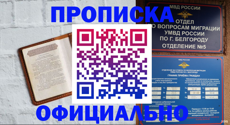 временная регистрация для школы в Чаплыгине